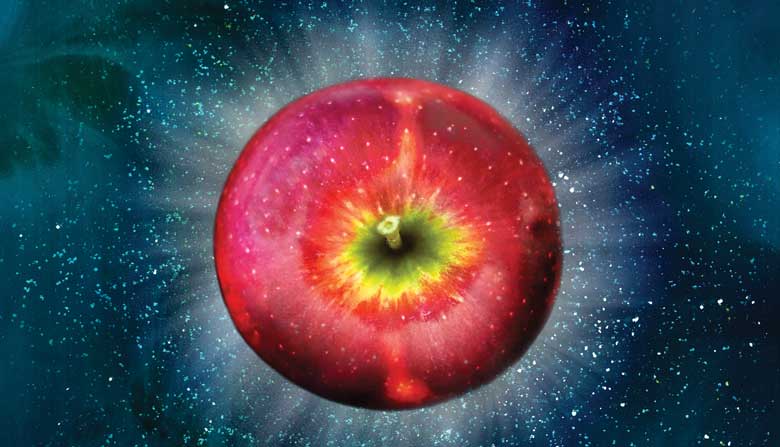 Washington Apple Growers Sink Their Teeth Into The New Cosmic Crisp : The  Salt : NPR