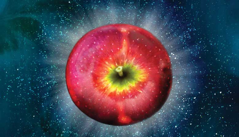 Washington's Cosmic Crisp Apple Arrives in Grocery Stores Across the U.S.:  Where to Find Them - Eater Seattle